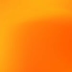 ใบสั่งจอง Dragster 300