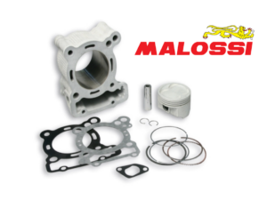 8686120-1 Malossi Racing Cylinder Kit