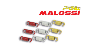125/200/300 MALOSSI RACING SPRING SET FOR CLUTCH