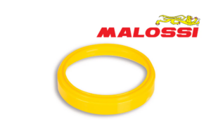 125/200/300 MALOSSI TORSION CONTROLLER GUIDE
